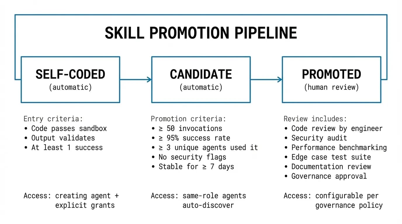 Skill promotion pipeline showing three stages: Self-Coded (automatic entry), Candidate (automatic promotion at 50+ invocations, 95%+ success rate, 3+ unique agents, no security flags, stable for 7+ days), and Promoted (human review including code review, security audit, performance benchmarking, edge case tests, documentation, and governance approval)