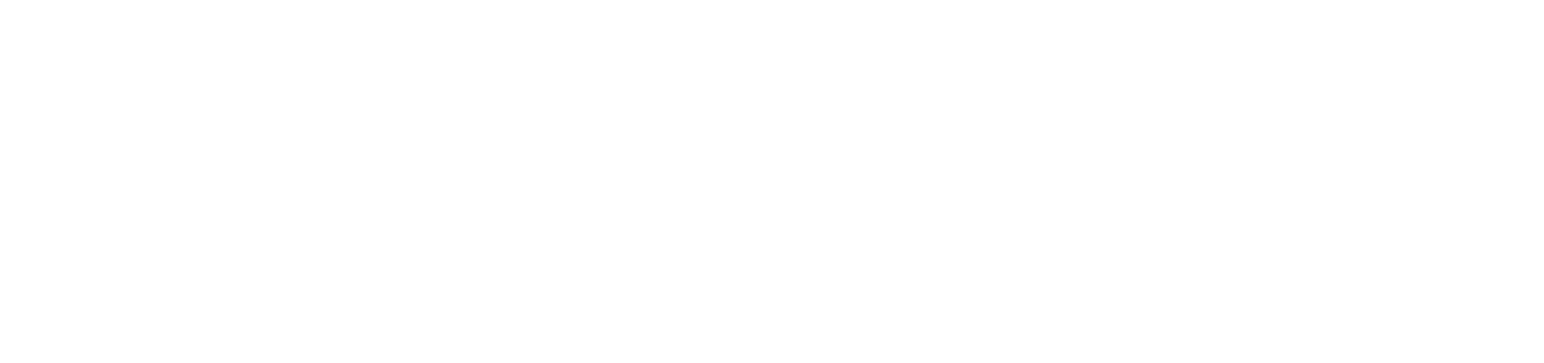 Zenera Logo